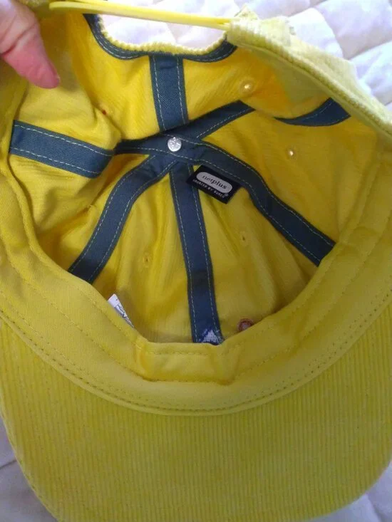 Corduroy Patagonia ball cap - Picture 3 of 3